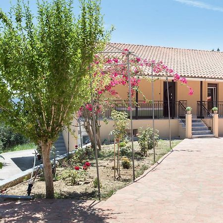 Olive Tree House Villa Evropouloi Ngoại thất bức ảnh